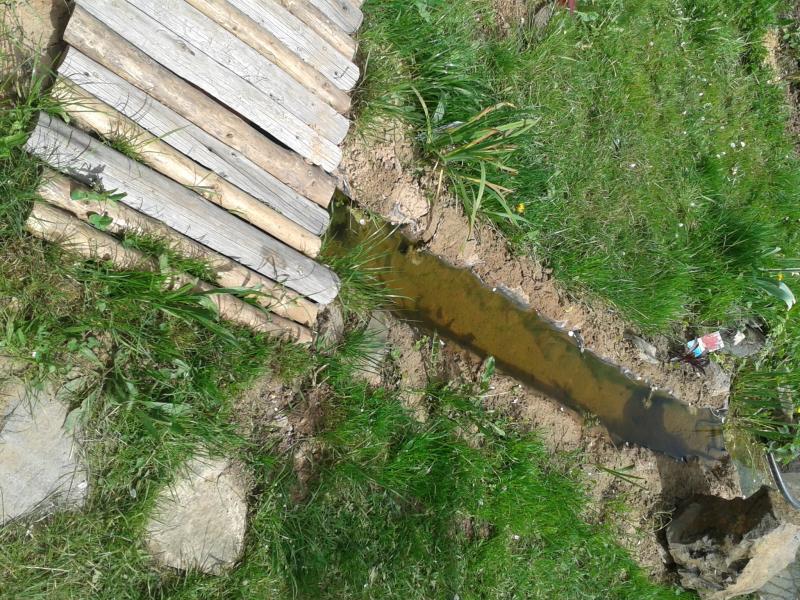 Bachlauf mit Brücke Frisch angelegt mit Teichfolie und Lehm. Mein Bachlauf leitet durch den Natürlichen Filter aus Steinen und Pflanzen klares Wasser zum Gartenteich. Den Goldfischen geht es richtig gut damit. Brücke wurde mit 2 großen Ästen und alten Zaunslatten realisiert. Bachlauf mit Brücke Frisch angelegt mit Teichfolie und Lehm. Mein Bachlauf leitet durch den Natürlichen Filter aus Steinen und Pflanzen klares Wasser zum Gartenteich. Den Goldfischen geht es richtig gut damit. Brücke wurde mit 2 großen Ästen und alten Zaunslatten realisiert.