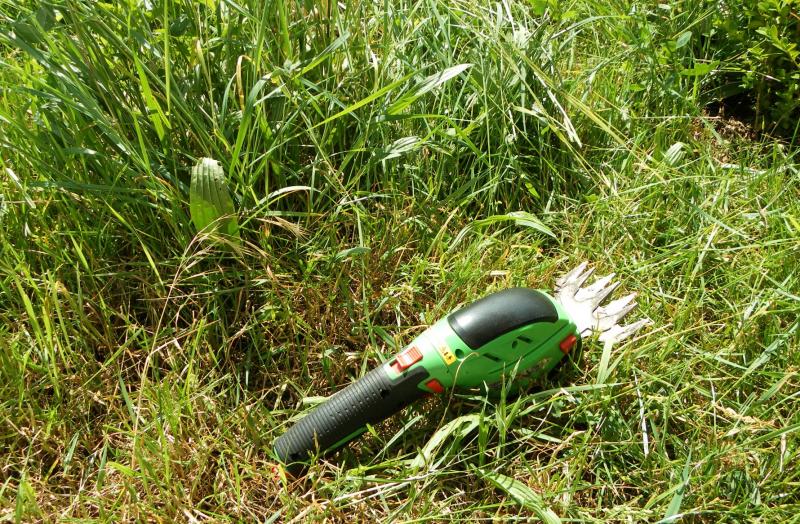 Akku Gartenschere mit Grasscherenaufsatz Meine Kleine Rasenfläche, die ich sonst mit der Sichel geschnitten habe ist nun ganz fix mit der Akku Grasschere gemacht. Die Stelle war sonst mit dem Rasenmäher unzugänglich. Akku Gartenschere mit Grasscherenaufsatz Meine Kleine Rasenfläche, die ich sonst mit der Sichel geschnitten habe ist nun ganz fix mit der Akku Grasschere gemacht. Die Stelle war sonst mit dem Rasenmäher unzugänglich.