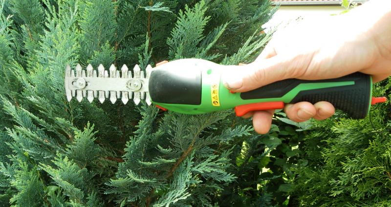 Der Heckenscherenaufsatz der elektrischen Gartenschere Meine Koniferen konnte ich wunderbar damit schneiden. Für Dicke Äste fehlt aber die Power. Sicherlich lassen sich auch tolle Figuren am Buchsbaum damit schneiden. Der Heckenscherenaufsatz der elektrischen Gartenschere Meine Koniferen konnte ich wunderbar damit schneiden. Für Dicke Äste fehlt aber die Power. Sicherlich lassen sich auch tolle Figuren am Buchsbaum damit schneiden.