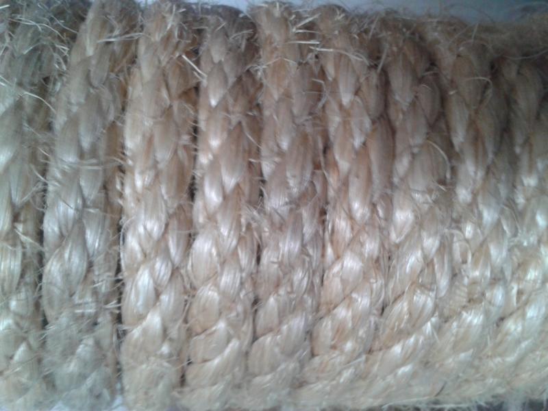 Ausdauerndes Katzen kratzen: Sisal Sisal ist neben echtem Holz recht standhaft für die scharfen Krallen unserer Katze. Ausdauerndes Katzen kratzen: Sisal Sisal ist neben echtem Holz recht standhaft für die scharfen Krallen unserer Katze.