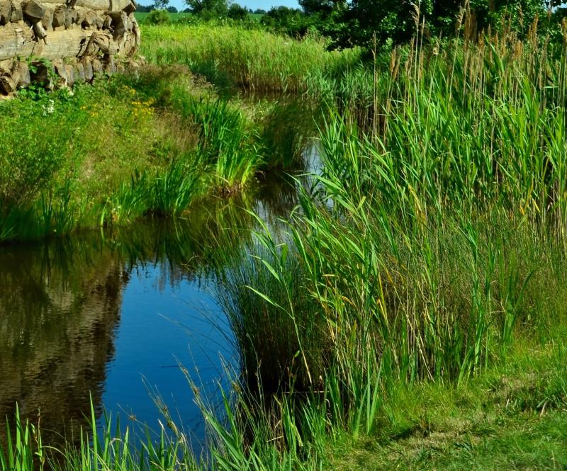 Bachlauf Im Garten Einen Bachlauf Anlegen Und Eine Kleine Oase