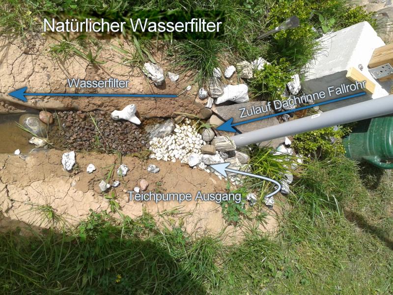 Natürlicher Wasserfilter im Bachlauf zum Gartenteich Frisch angelegter Zulauf zum Gartenteich. Wasserfilter besteht aus Kieselsteinen, Pflanzen und Lavagestein. Unsichtbar wurde der Zulauf der Schlauchausgang einer Teichpumpe verlegt. Teichpumpe (12V, 12 Watt) liegt im Teich und läuft über Solarstrom. Natürlicher Wasserfilter im Bachlauf zum Gartenteich Frisch angelegter Zulauf zum Gartenteich. Wasserfilter besteht aus Kieselsteinen, Pflanzen und Lavagestein. Unsichtbar wurde der Zulauf der Schlauchausgang einer Teichpumpe verlegt. Teichpumpe (12V, 12 Watt) liegt im Teich und läuft über Solarstrom.