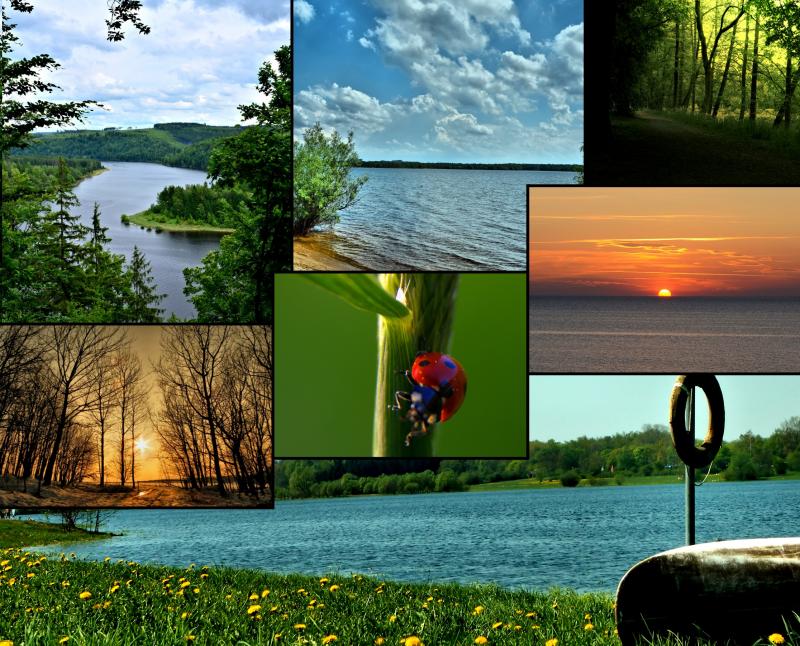 Natur: Best Of Ein paar entspannte Naturfotos, die ich so geschossen habe. Die Natur entdeckt man erst richtig, wenn man die letzten Winkel aufsucht. Natur: Best Of Ein paar entspannte Naturfotos, die ich so geschossen habe. Die Natur entdeckt man erst richtig, wenn man die letzten Winkel aufsucht.