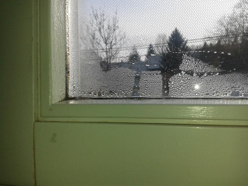 Wassertropfen früh am Morgen an Fensterscheibe Wassertropfen früh am Morgen an Fensterscheibe